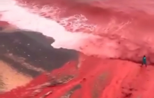Nước biển bị nhuộm đỏ khiến nhiều người bất ngờ