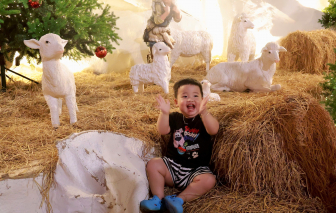 Xóm đạo Gò Vấp rực sáng ánh đèn Giáng sinh