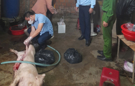 Quảng Ngãi: Phát hiện đôi vợ chồng mua heo chết xẻ bán kiếm lời