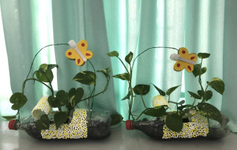 Vợ tôi được khen đi chợ… “chuyên nghiệp”