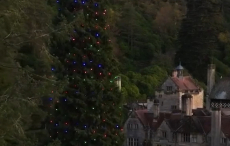 Cây thông trăm tuổi nhận kỷ lục cây thông Noel cao nhất thế giới