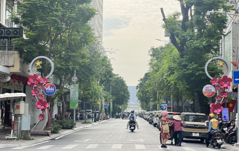 Hình ảnh hoa mai, đào xuất hiện trên nhiều tuyến đường trung tâm TPHCM