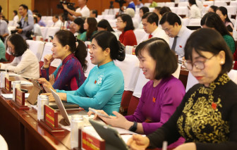 Đề xuất đầu tư hơn 36.000 tỉ đồng cho cầu Cần Giờ và Phú Mỹ 2