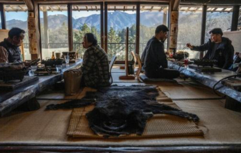 Nhật Bản bùng nổ cơn sốt thịt gấu