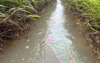 Quảng Ngãi: Sự cố tràn dầu ở Dung Quất khiến hàng chục hecta đất canh tác bị ô nhiễm