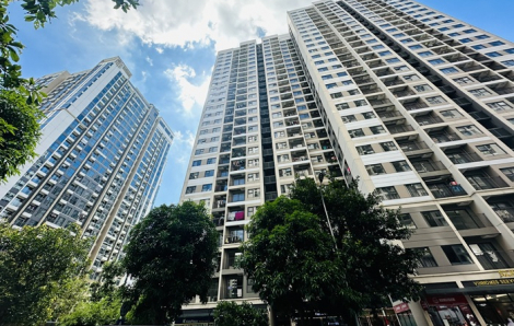 Phải dám nghĩ, dám quyết khi mua nhà thời bão giá