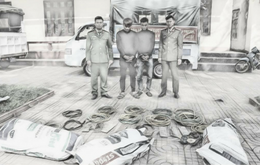 Hàng trăm trạm phát sóng viễn thông ở Nghệ An bị cắt trộm dây cáp chống sét