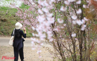 "Du lịch ma": Khi sự tự do giả tạo vắt kiệt dân công sở