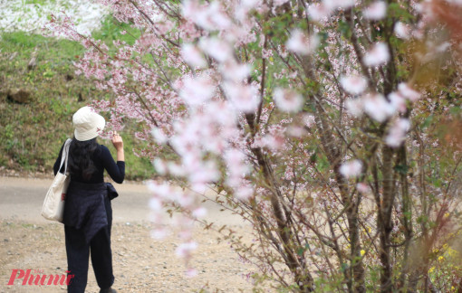 "Du lịch ma": Khi sự tự do giả tạo vắt kiệt dân công sở