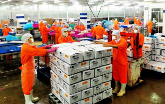 TPHCM thu ngân sách vượt xa dự toán