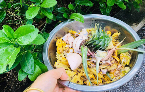 Chuyện gia đình 8 năm sống tối giản, không thùng rác