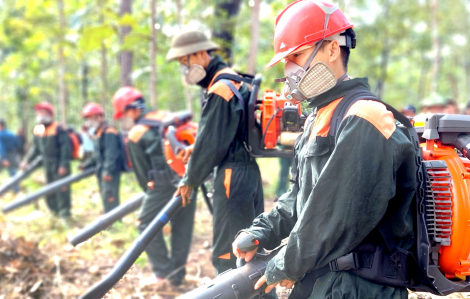 Việc bảo vệ rừng cam go hơn sau thiên tai liên tiếp