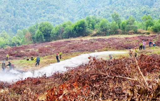 Đừng để rừng cháy mới lo chữa