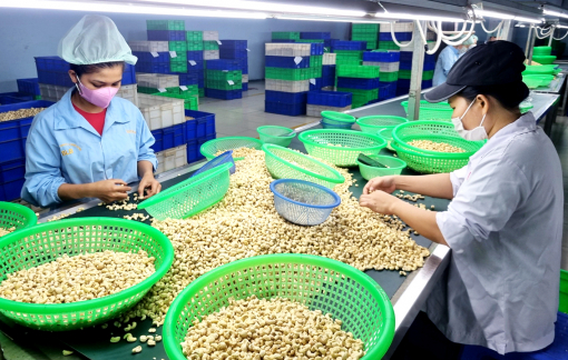 Kinh tế tăng trưởng ấn tượng nhưng quá lệ thuộc vào nước ngoài