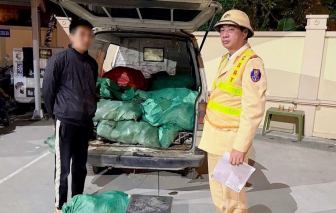 Phát hiện, thu giữ 1 tấn chân gà bẩn ở Hà Nội