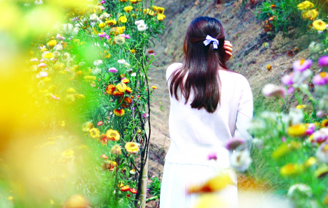 Truyện ngắn - Thị trấn biết cười