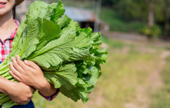 5 thực phẩm nên bổ sung vào chế độ ăn trong năm 2026