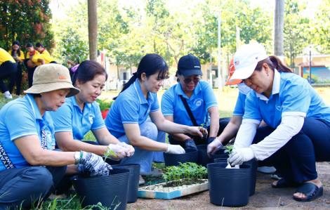 Phường Tân Sơn trồng “Vườn hoa tết yêu thương” tặng bà con khó khăn