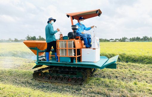 Trồng lúa chuyển đổi xanh để ngành lúa gạo phát triển bền vững