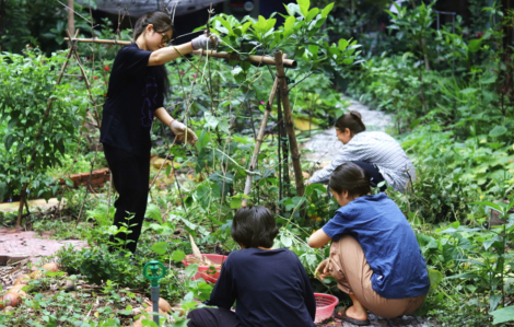 Chơi và đối thoại với thế giới