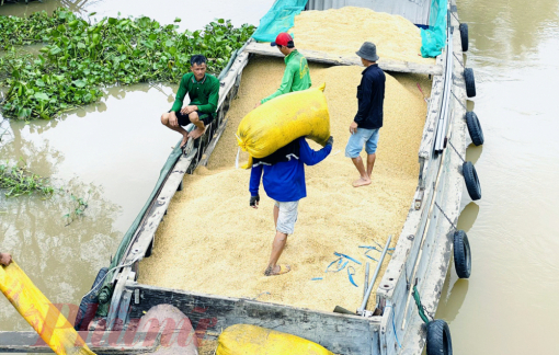 GDP Việt Nam năm 2025 tăng 8,02%