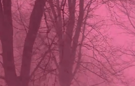 Bầu trời màu hồng trong bão tuyết