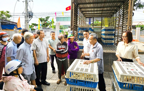 Hỗ trợ phụ nữ khó khăn làm ăn hiệu quả