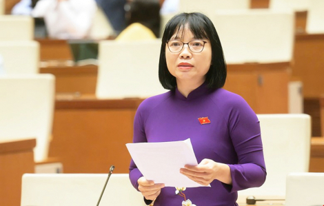 Rà soát toàn diện các chương trình liên kết giáo dục