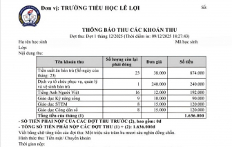 Trẻ tiểu học có cần thiết học quá nhiều môn liên kết?