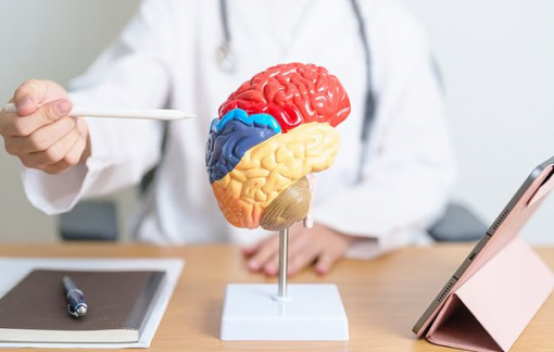 Người đạt năng suất hoạt động cao vào chiều tối có nguy cơ mất trí nhớ cao hơn 45%