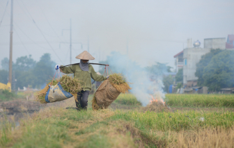 Bộ Nông nghiệp và Môi trường nêu giải pháp cấp bách kiểm soát ô nhiễm không khí