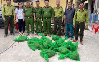 22 con chồn hương không rõ nguồn gốc trên vỏ lãi ở Cà Mau