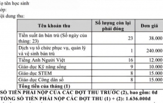 Mỗi tháng, học sinh tiểu học tốn gần 1 triệu đồng cho các môn liên kết