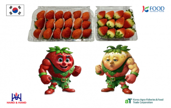 “Càng đỏ, càng ngọt” - Vì sao màu đỏ đậm là thước đo giá trị của dâu tây Hàn Quốc?