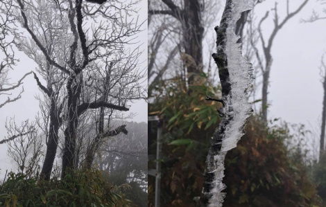 Băng giá phủ kín nhiều khu vực Tây Bắc