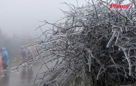 Miền Bắc chìm trong rét đậm, vùng núi cao đối mặt nguy cơ băng giá