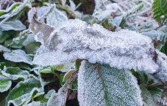 Vùng cao Nghệ An xuất hiện băng giá