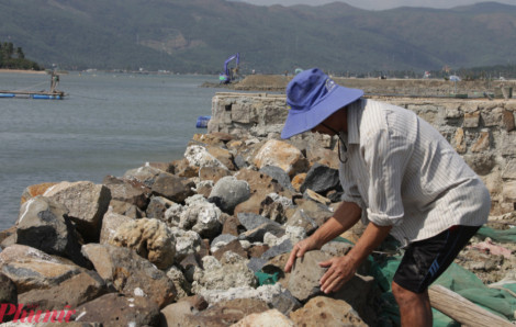 Người dân vùng biển hồi sinh sau bão lũ