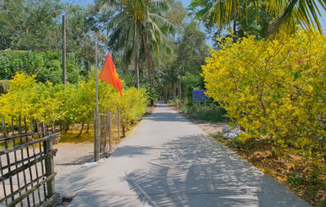 Lòng người như cánh én ngoài kia...