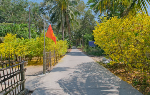 Lòng người như cánh én ngoài kia...