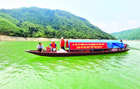 Phận người bấp bênh theo nguồn lợi thủy sản tận diệt