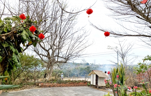 Lá khô, khói lam và mẹ