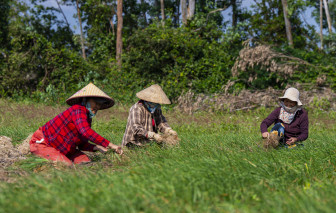 "Thủ phủ" kiệu tết tất bật vào vụ