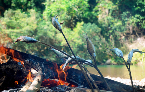 Cùng cha đi săn cá mát