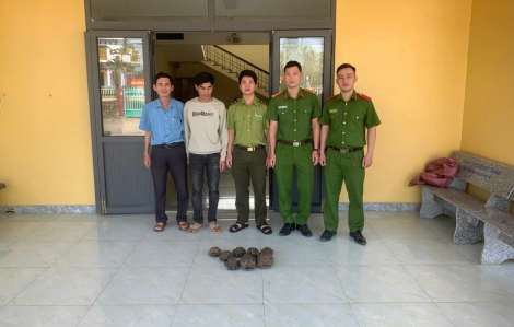 Người dân Đắk Lắk phát hiện 8 cá thể rùa nguy cấp, quý hiếm trong lúc đi làm