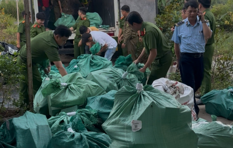 Phát hiện hơn 4 tấn mỹ phẩm không rõ nguồn gốc ở Cà Mau