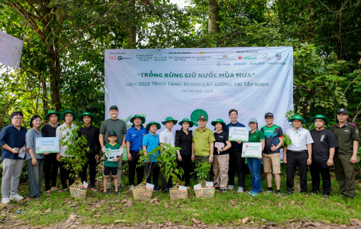 Phát động “Ngày trồng cây cộng đồng 2026” và khởi động đề án “Tre chống lũ”