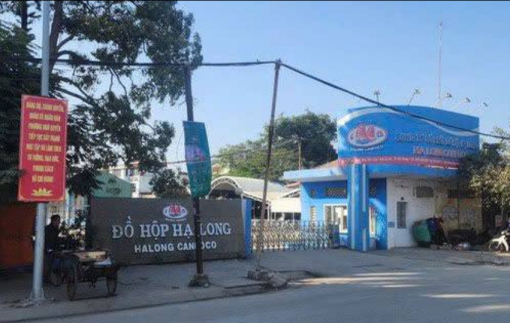 Tạm giữ một Phó trưởng trạm vì cấp giấy kiểm dịch khống cho Đồ hộp Hạ Long