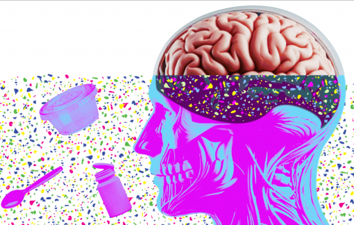 Quan niệm về vi nhựa trong cơ thể con người đã bị thổi phồng?