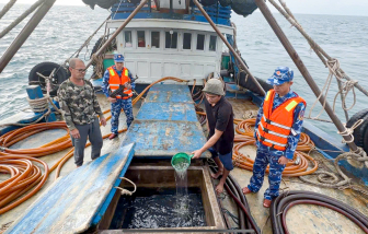 Bắt tàu cá vận chuyển trái phép 100.000 lít dầu DO